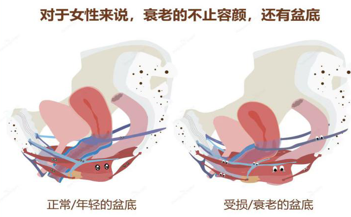 微信圖片_20230320102922.png